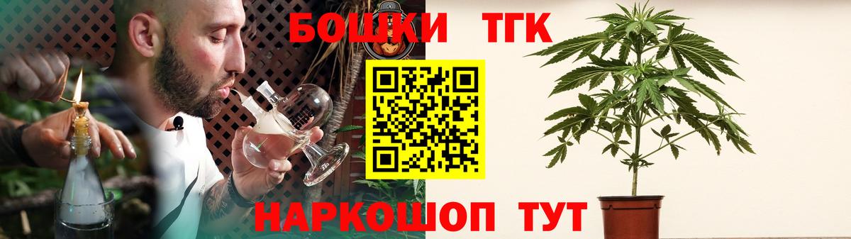Бошки Шишки план Ярославль